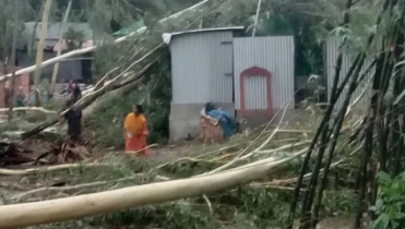 সিরাজগঞ্জে ঝড়ে ভেঙে পড়লো গাছ গৃহবধূর মৃত্যু